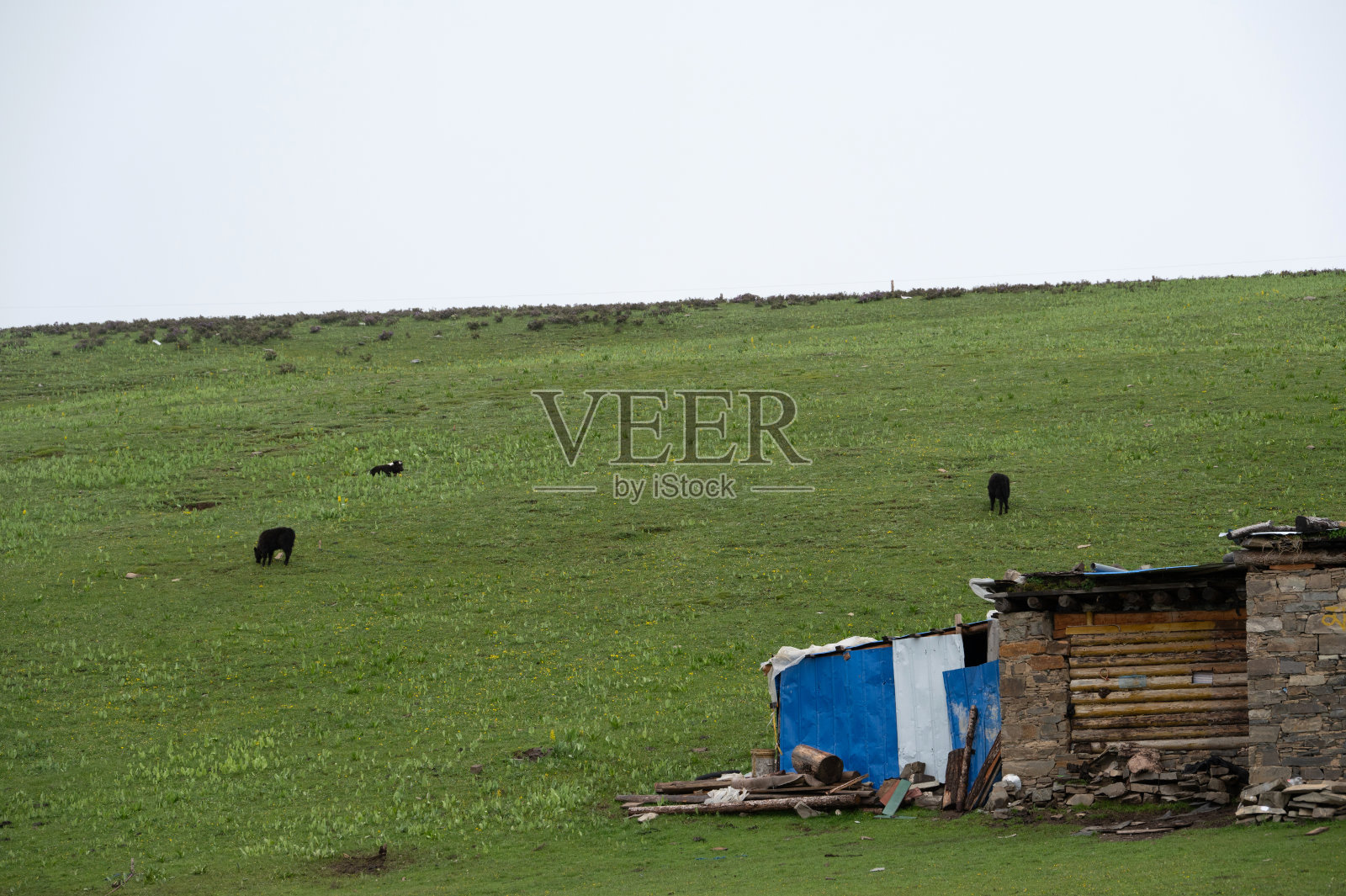 多云高原上的草甸和牲畜消耗照片摄影图片