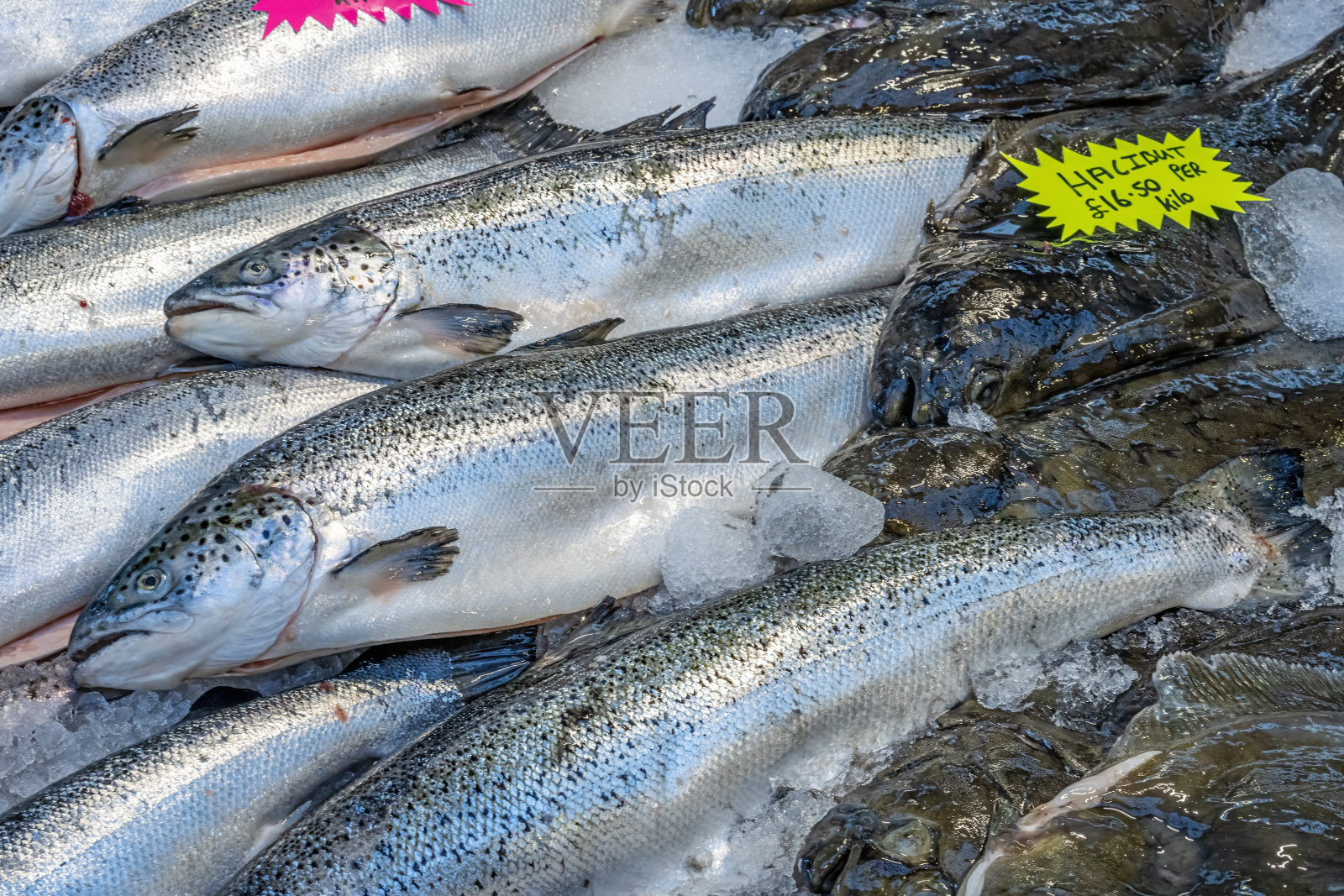 新鲜大比目鱼出售照片摄影图片