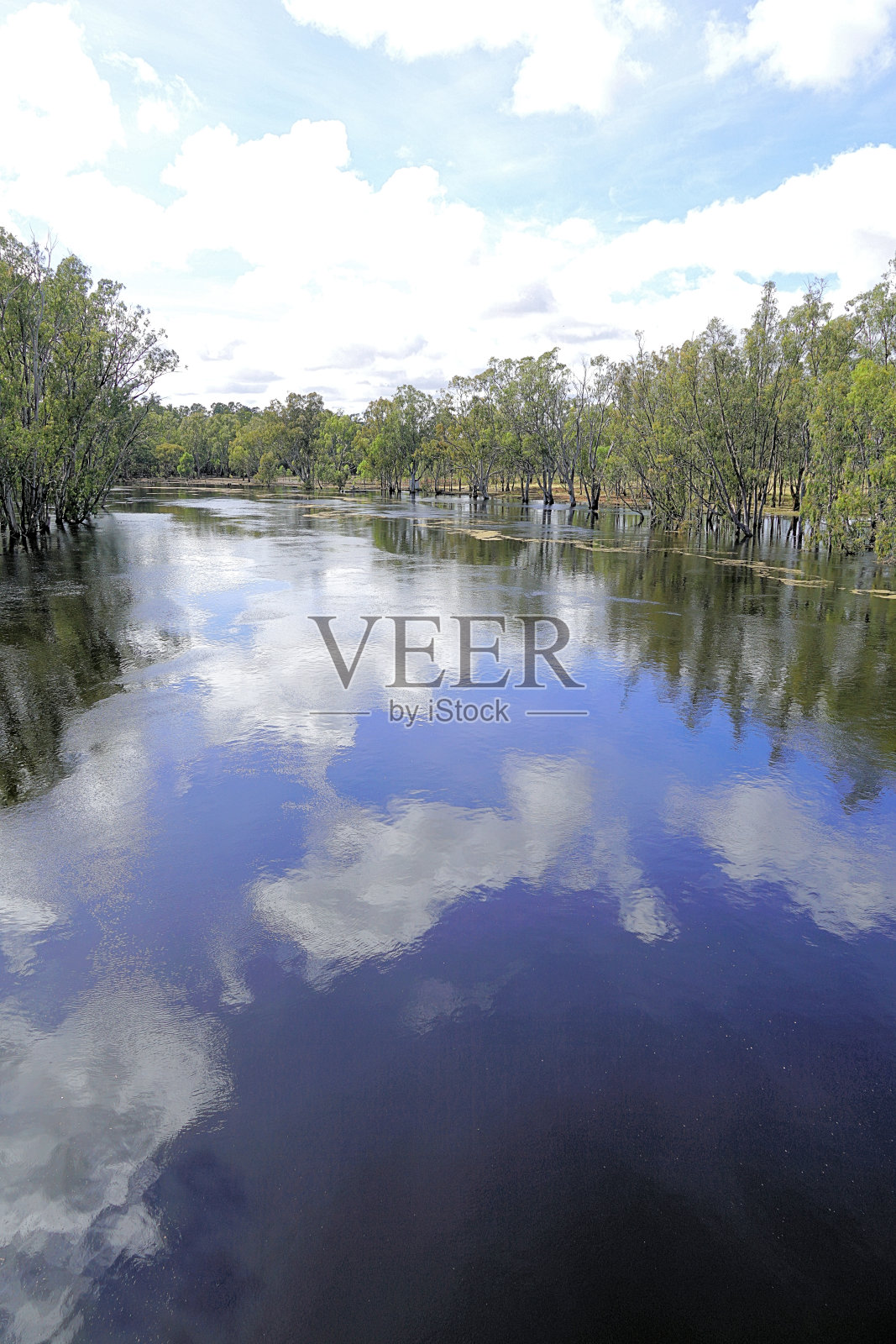澳大利亚维多利亚的Barmah照片摄影图片