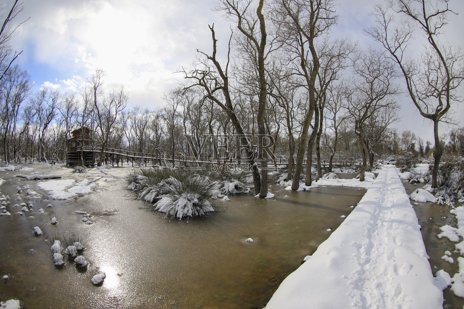 冬天的景象照片摄影图片
