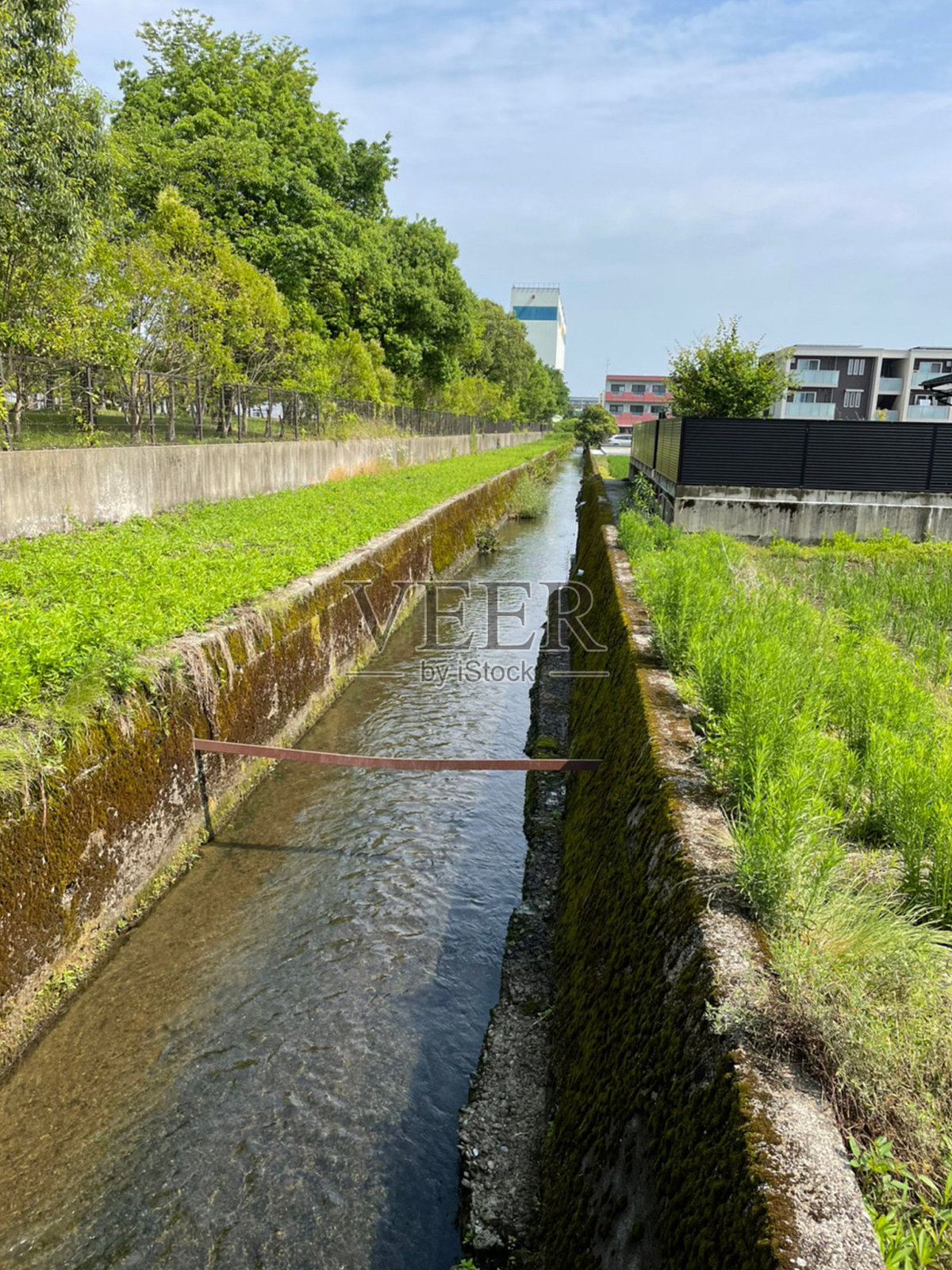阳光灿烂的日子照片摄影图片