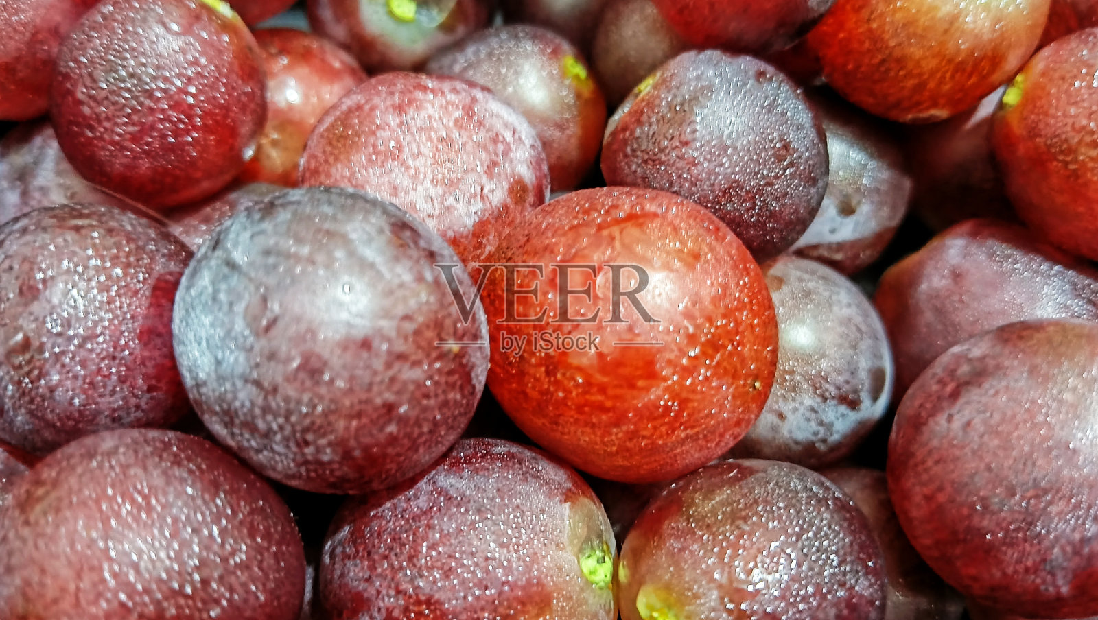 葡萄的特写图片。照片摄影图片