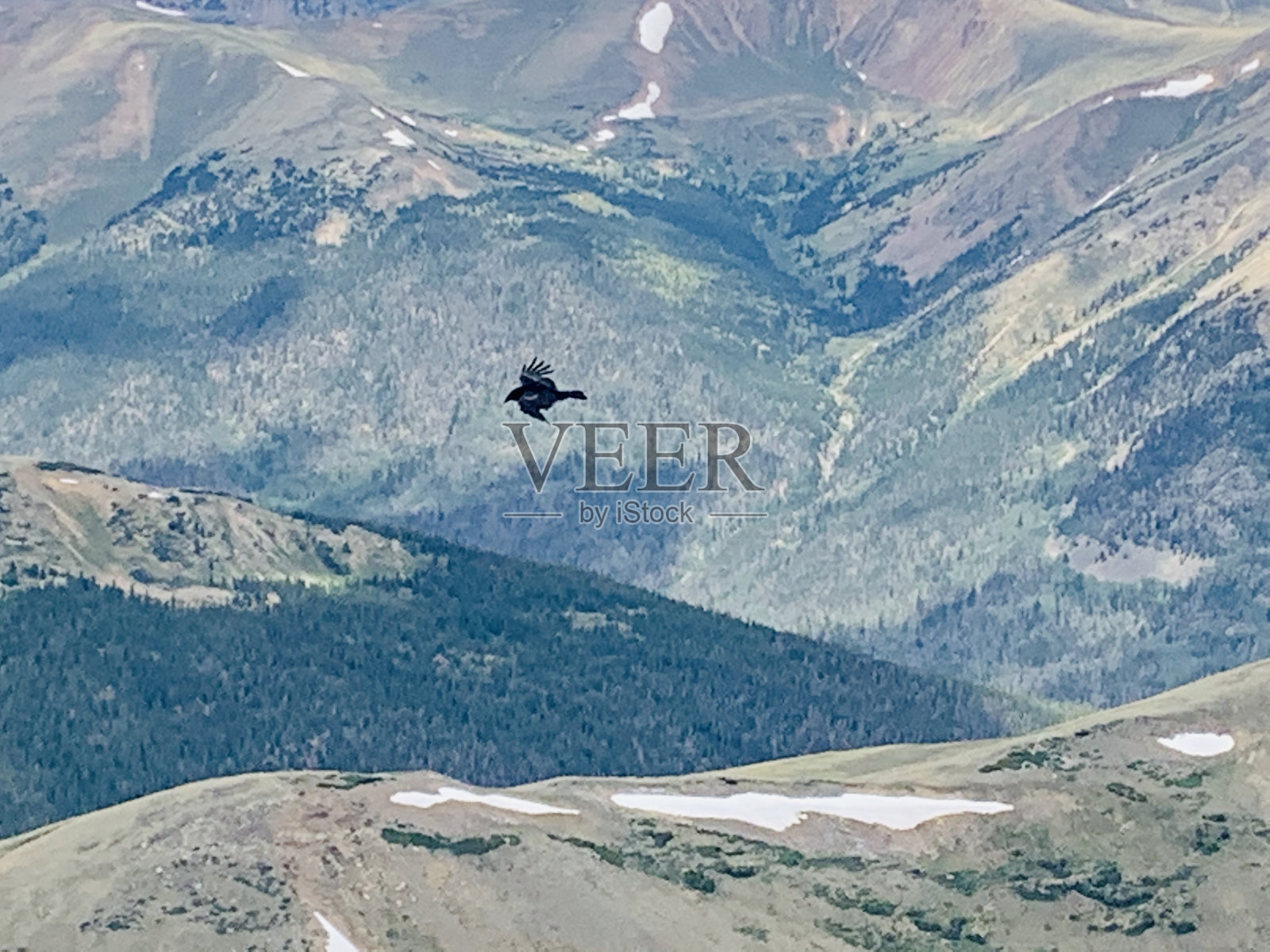 在世界之巅照片摄影图片