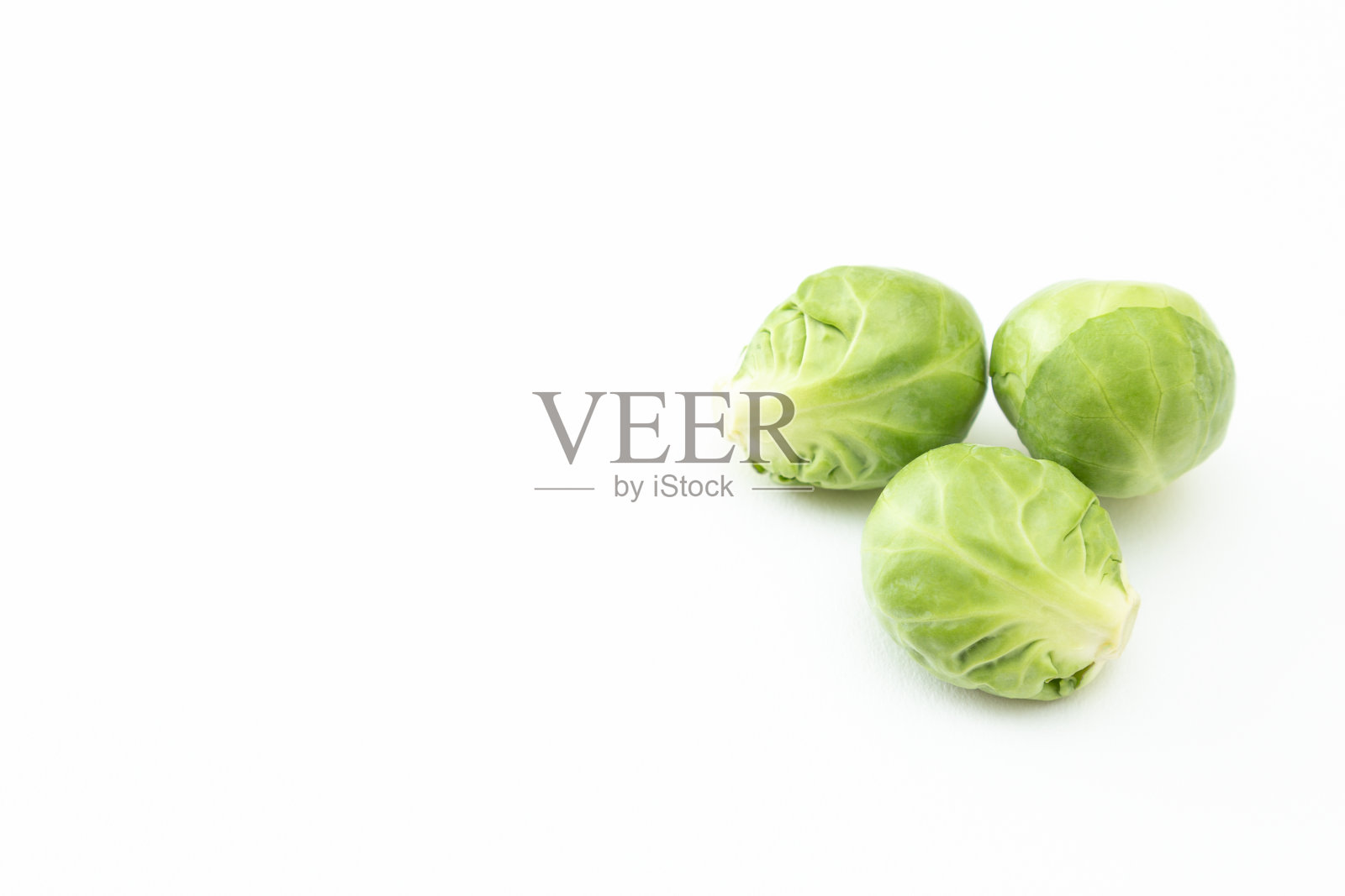 白色背景上的抱子甘蓝。照片摄影图片