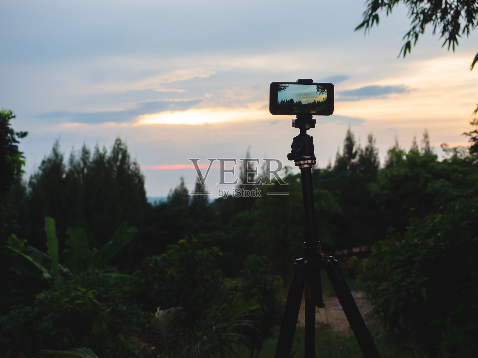 三脚架上的智能手机在日落时拍摄屏幕上的自然景观照片摄影图片