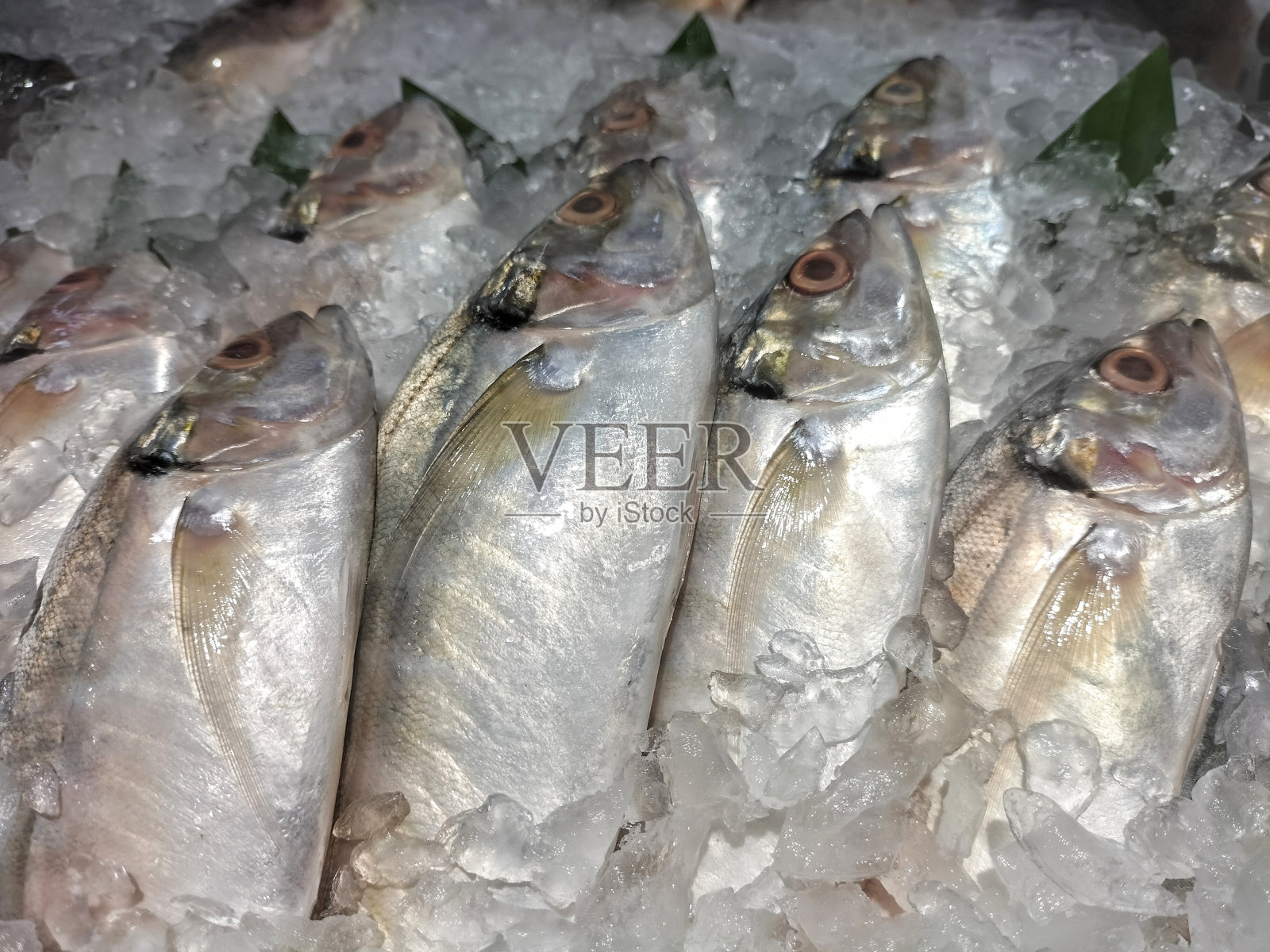 超市里的鱼照片摄影图片