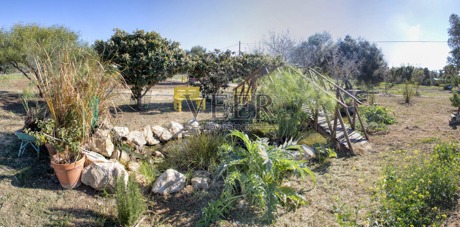 全景。一个野生花园的全景，有果树，用托盘做成的长凳和一个小池塘上的木桥。照片摄影图片