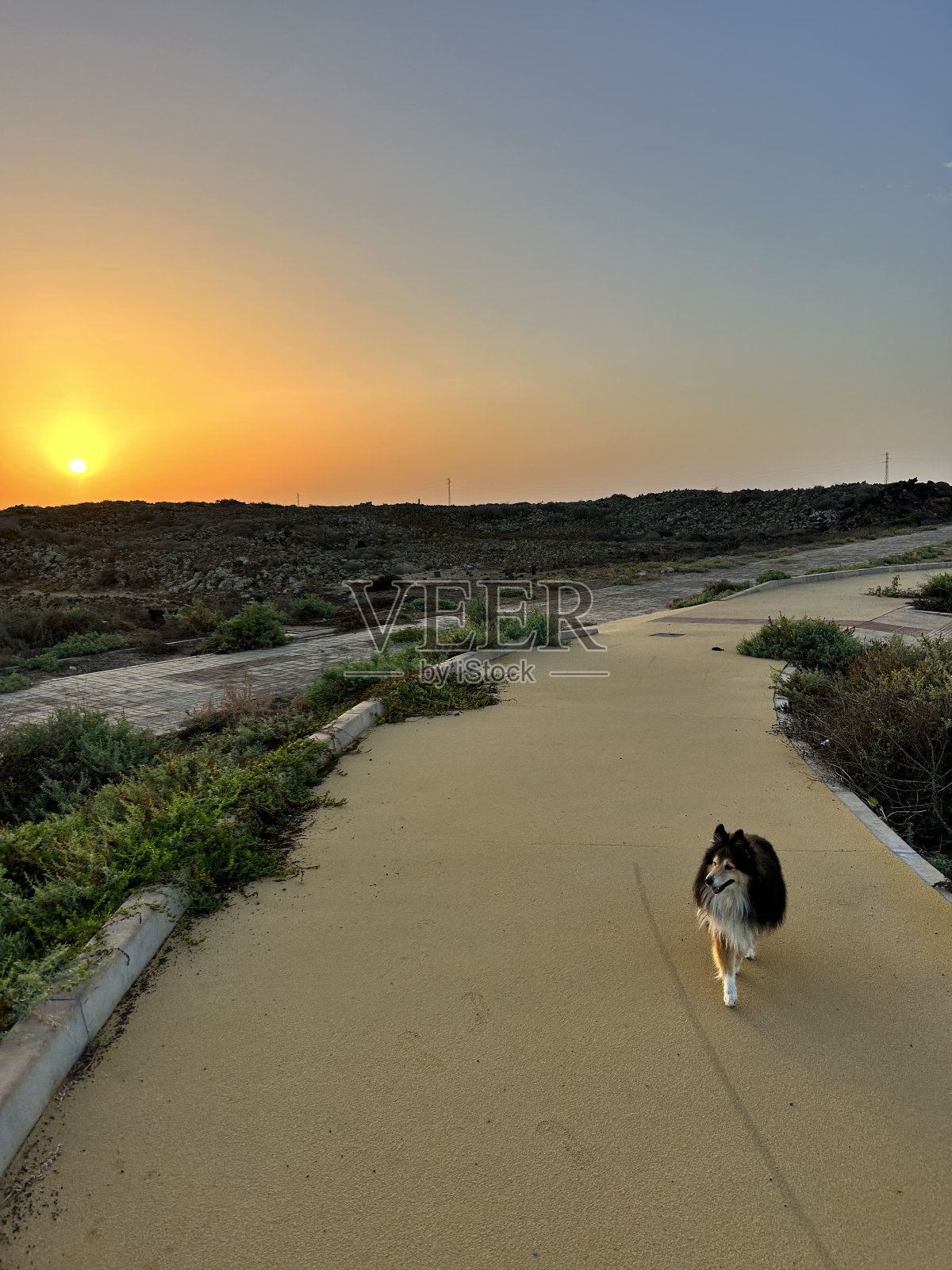 Fuerteventura风景照片摄影图片