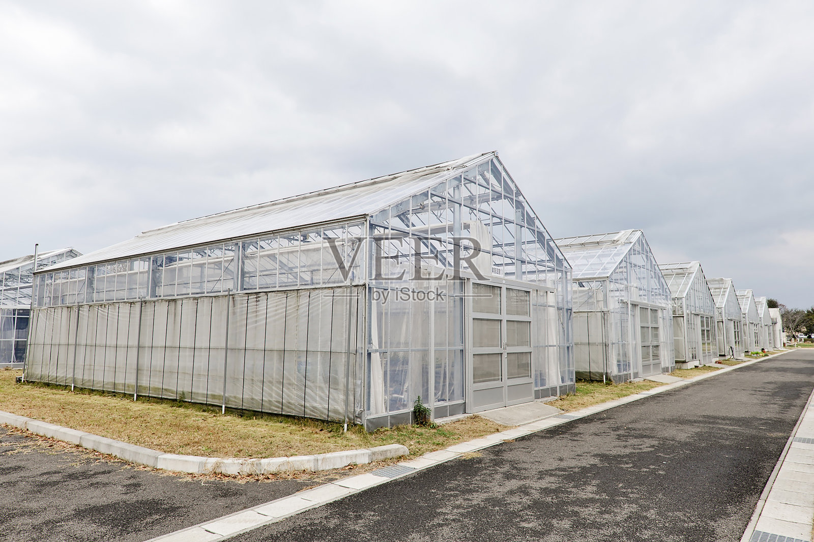 塑料温室照片摄影图片