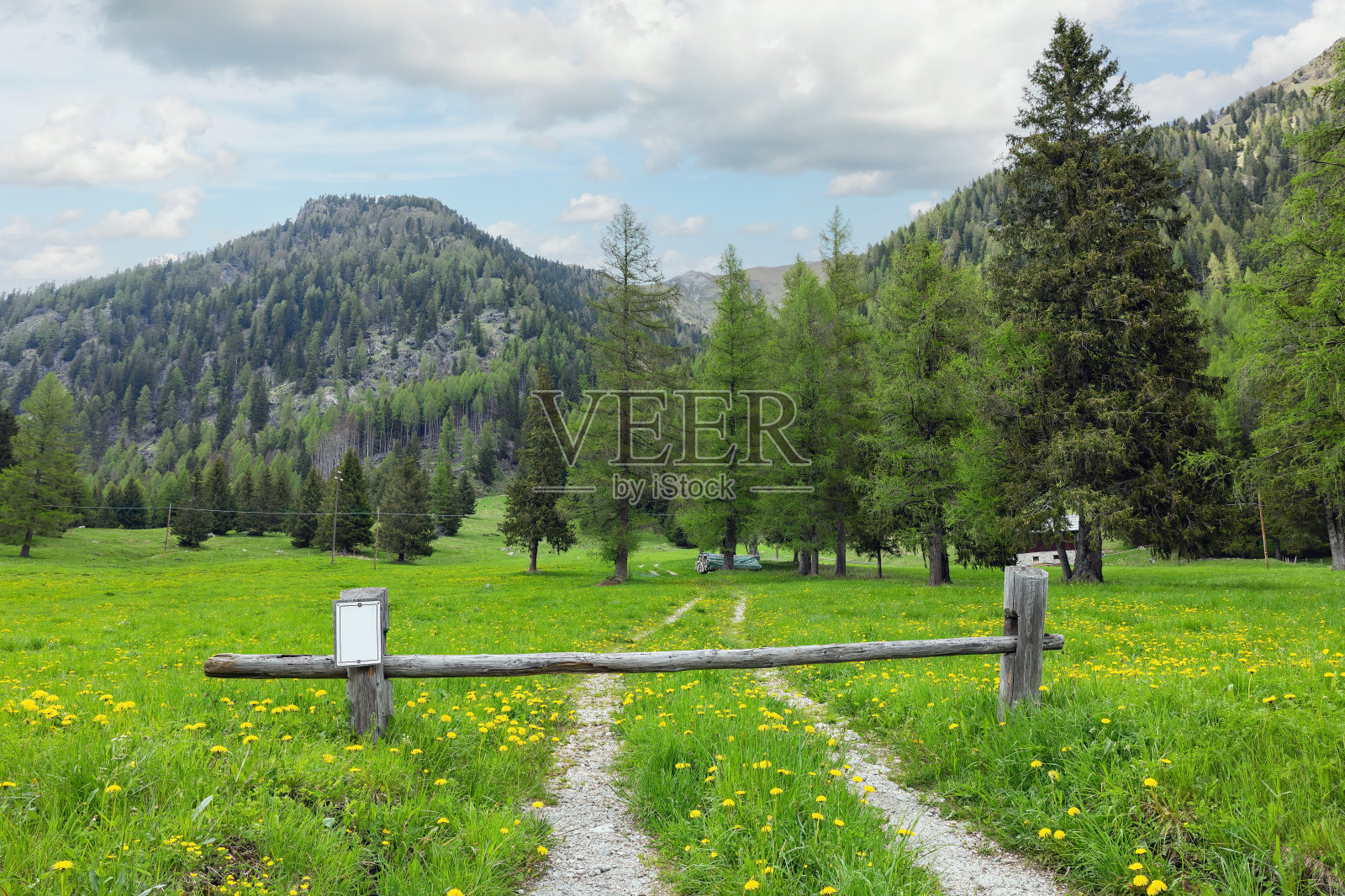 特伦托地区的山景照片摄影图片