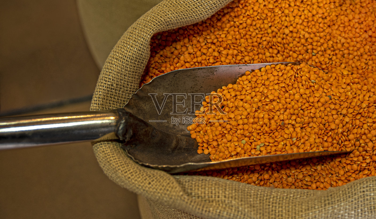 去皮红扁豆或珊瑚扁豆照片摄影图片