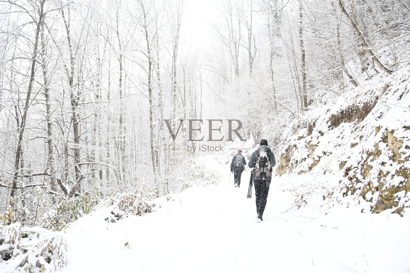 高钥匙森林1照片摄影图片