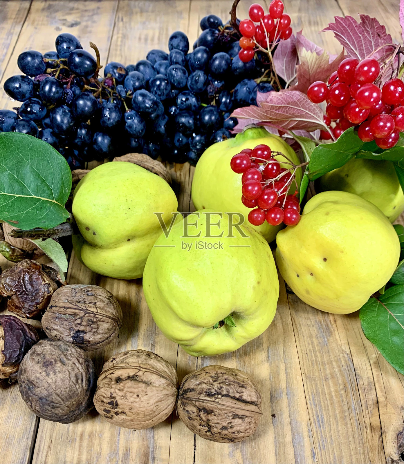 大自然的秋日礼物:木桌上的葡萄、榅桲、豆荚、核桃。照片摄影图片