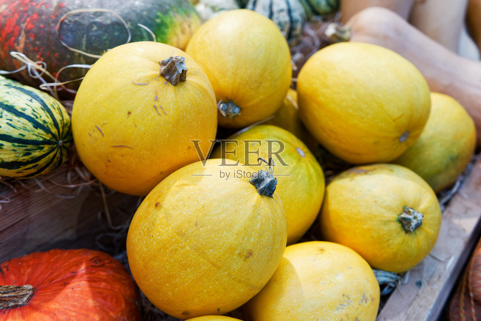 一组不同种类的南瓜放在一个盒子里照片摄影图片