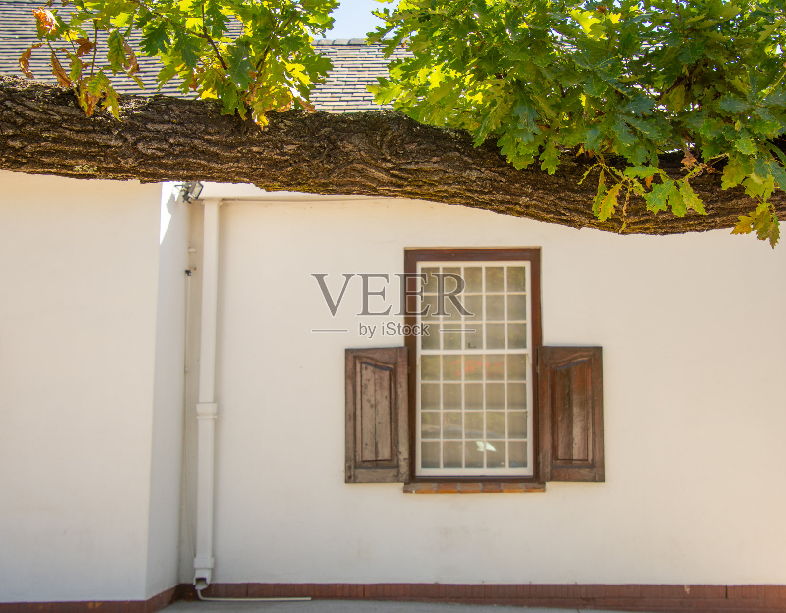 美丽的斯泰伦博斯小镇的建筑照片摄影图片