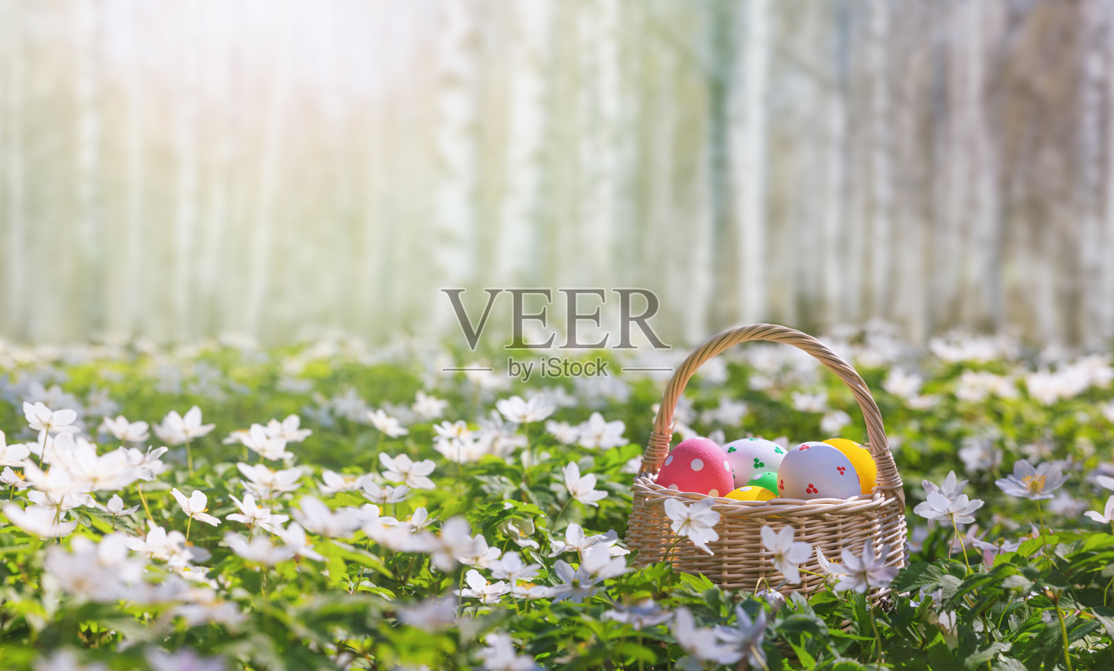 篮子里有复活节彩蛋的森林特写，选择性聚焦季节贺卡照片摄影图片