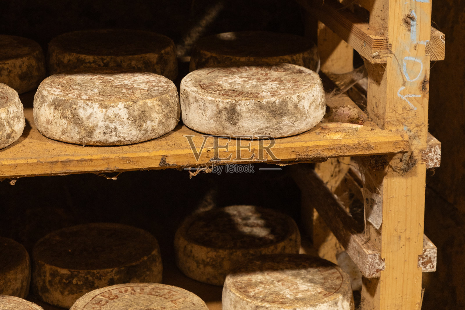 陈年奶酪地窖奶酪有机食品生产过程中食用烹饪开胃菜餐食品小吃在桌子上复制空间照片摄影图片