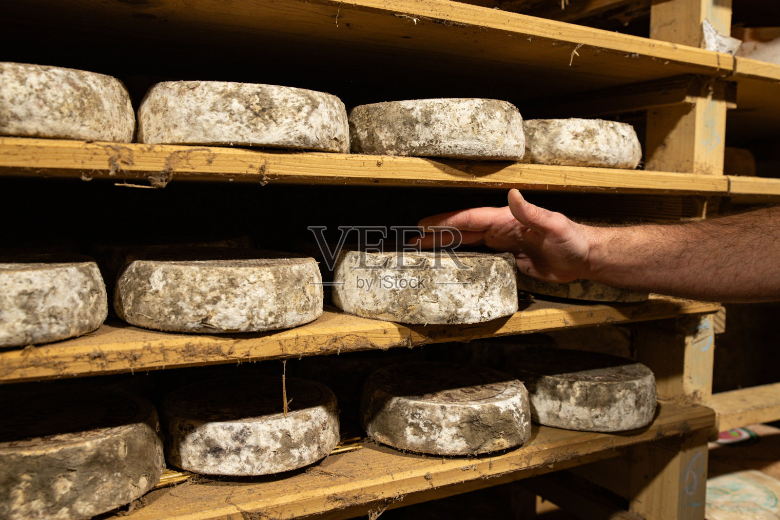 陈年奶酪地窖奶酪有机食品生产过程中食用烹饪开胃菜餐食品小吃在桌子上复制空间照片摄影图片