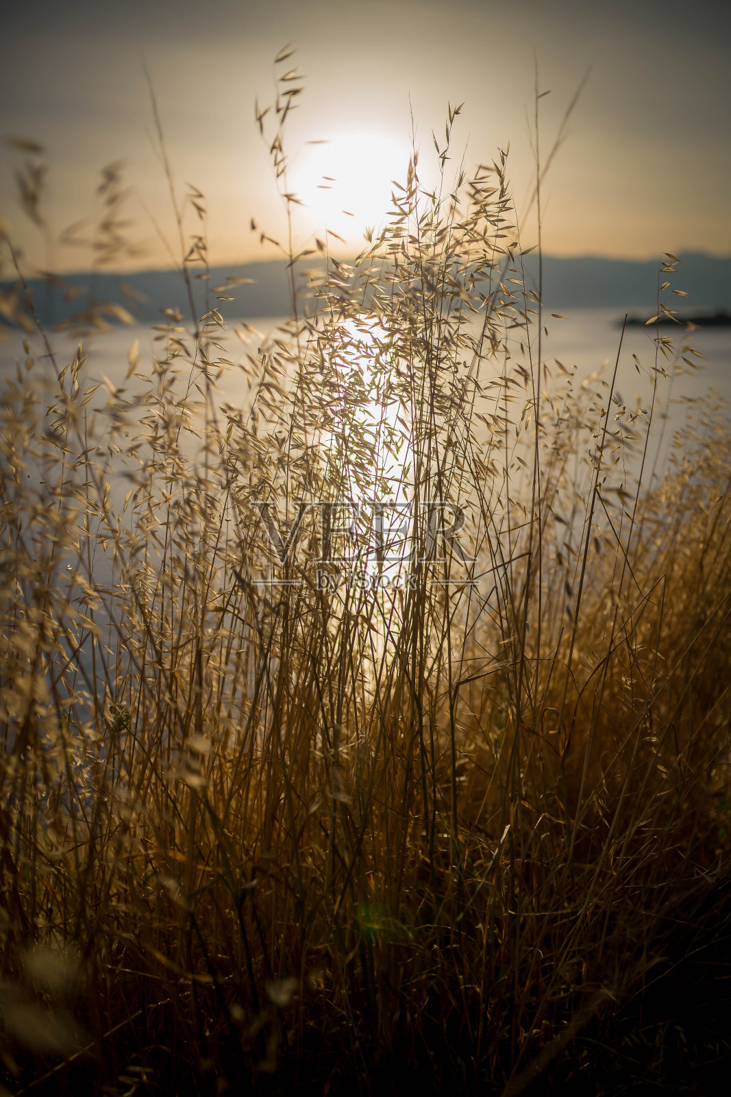 日落时海水反射出美丽的阳光照片摄影图片