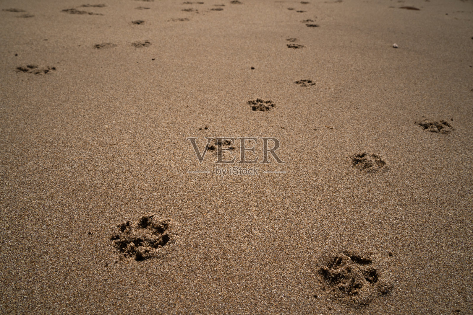 的足迹照片摄影图片