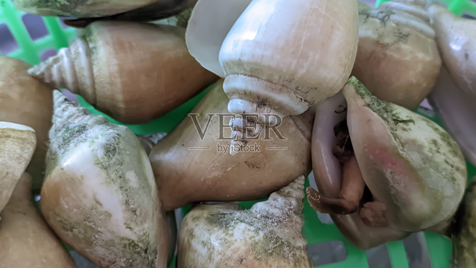 煮熟的宫工海鲜可以吃了照片摄影图片