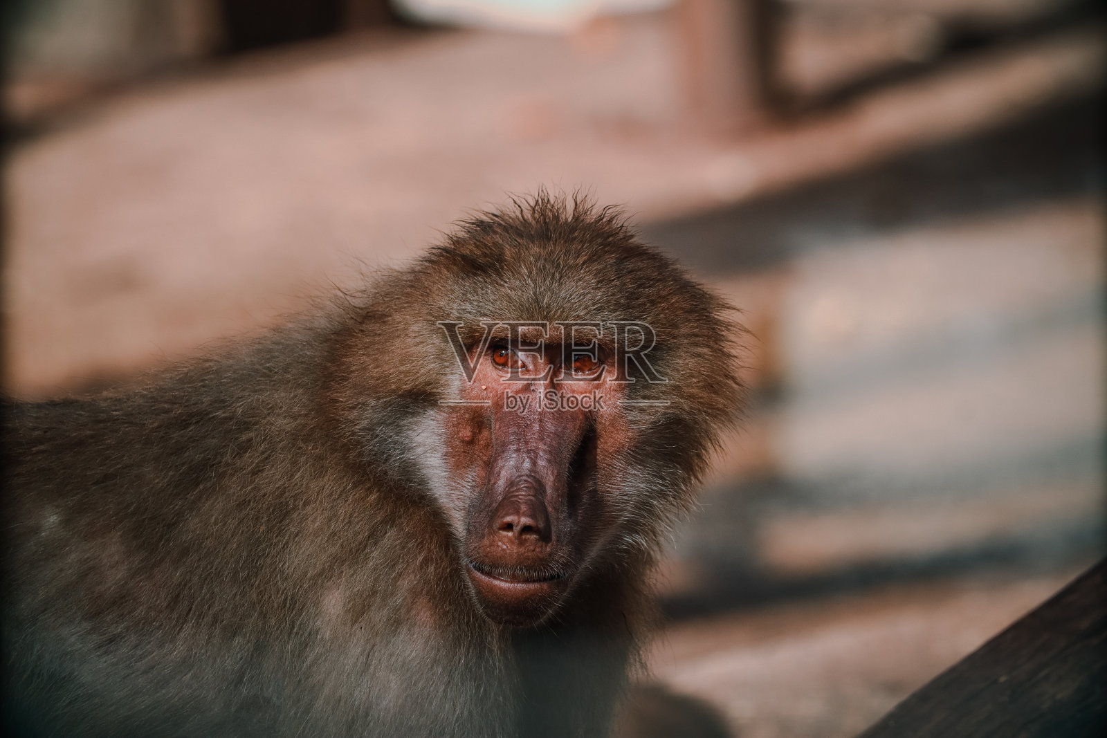 自然保护区照片摄影图片
