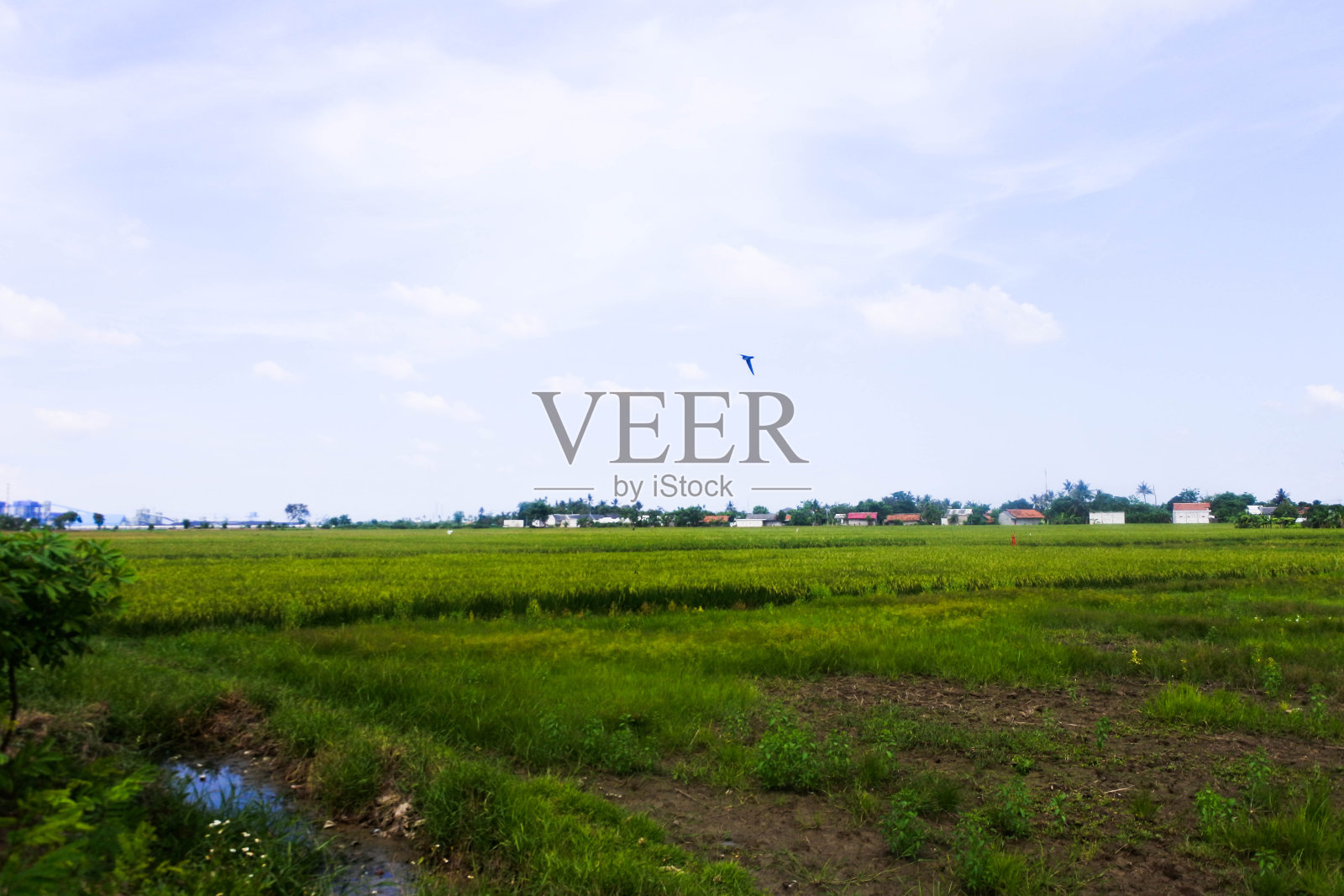 宁静的绿洲:苍穹下宁静的绿色田野和温柔的溪流照片摄影图片