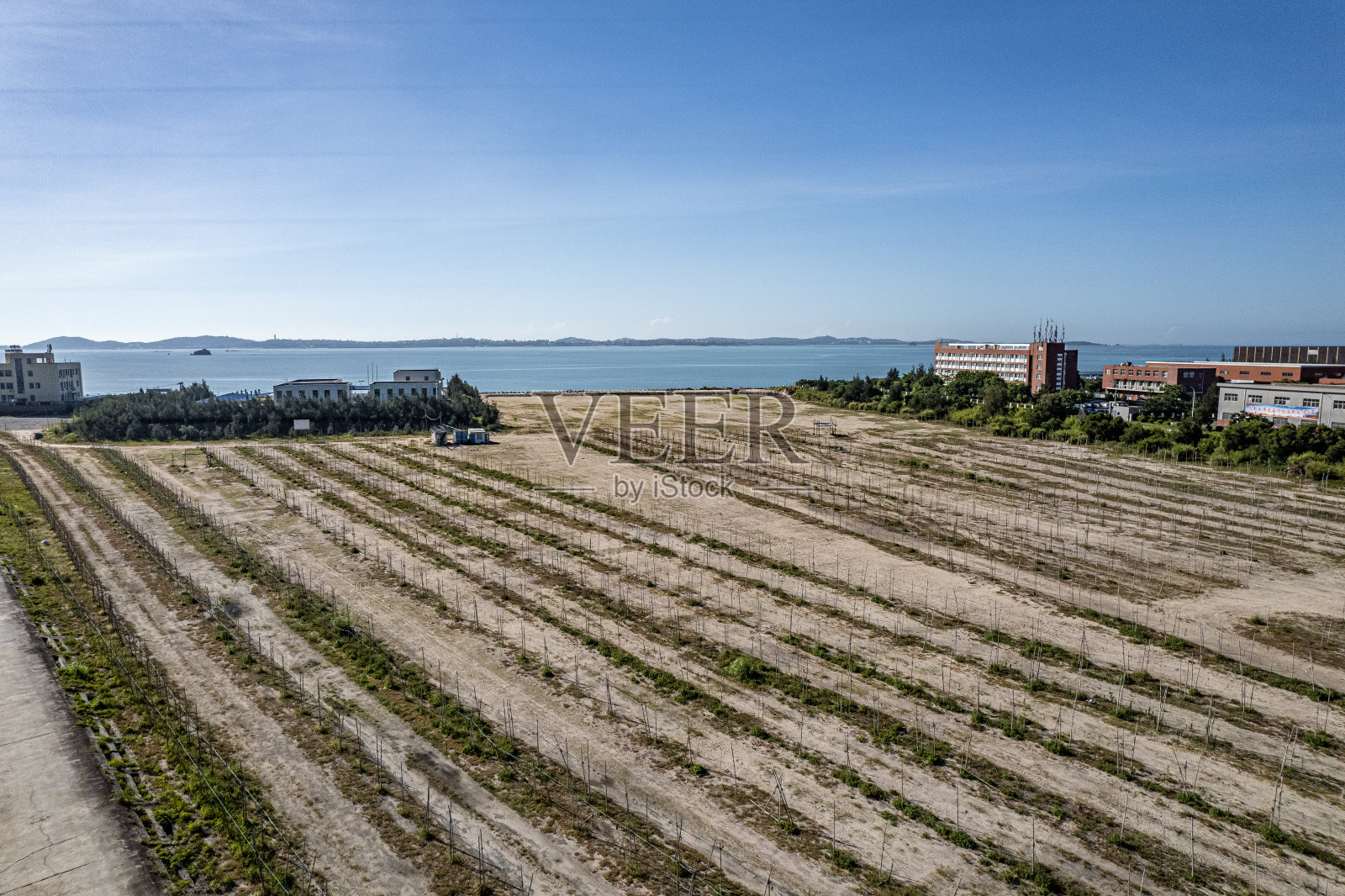 海边一片空旷的海产品烘干场照片摄影图片