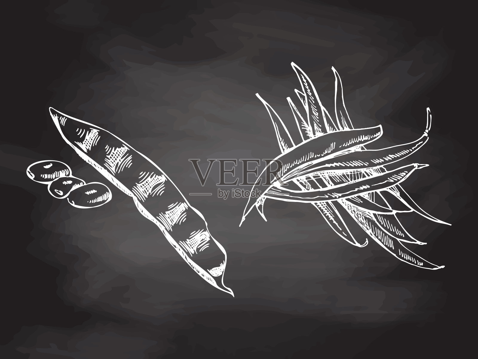 一套手绘的豆角草图。矢量蔬菜在黑板的背景。复古涂鸦插图。咖啡馆菜单和标签的草图。雕刻的形象。收割。插画图片素材