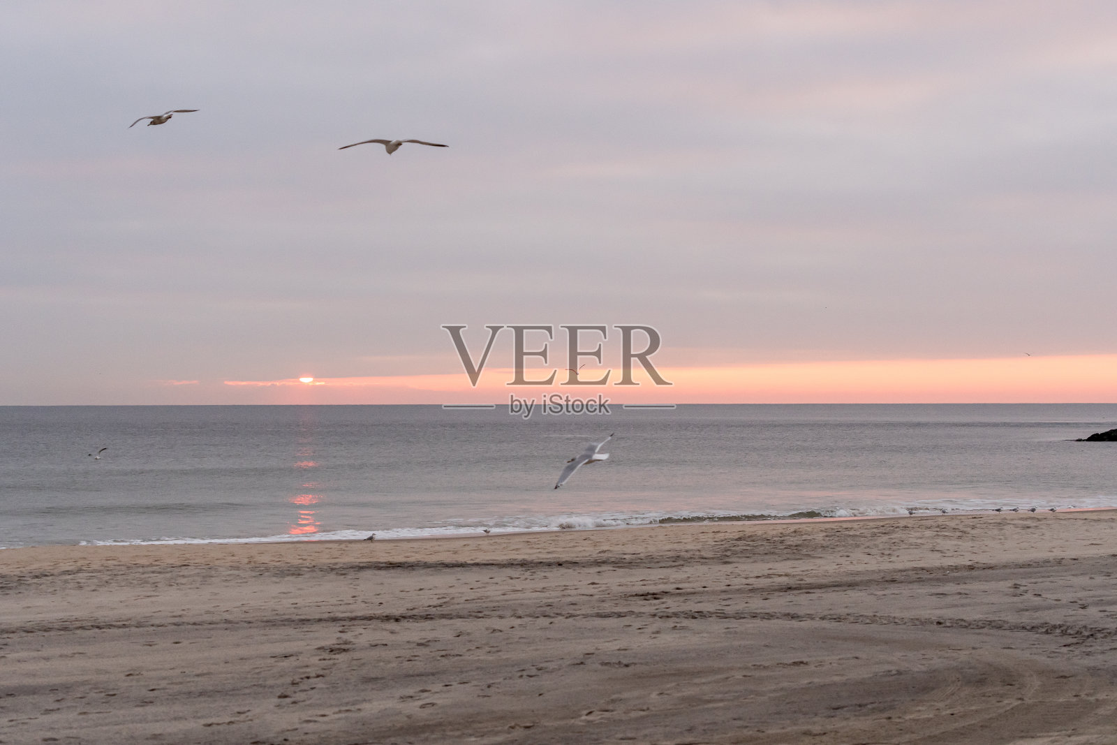 海滩上的日出照片摄影图片