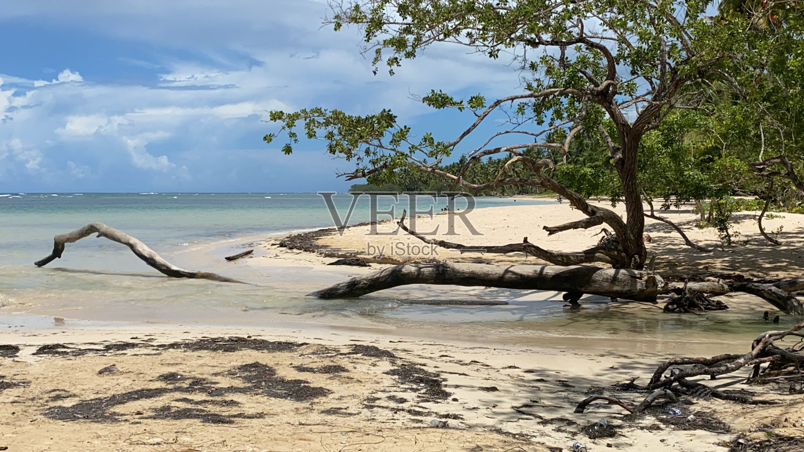 海滩照片摄影图片