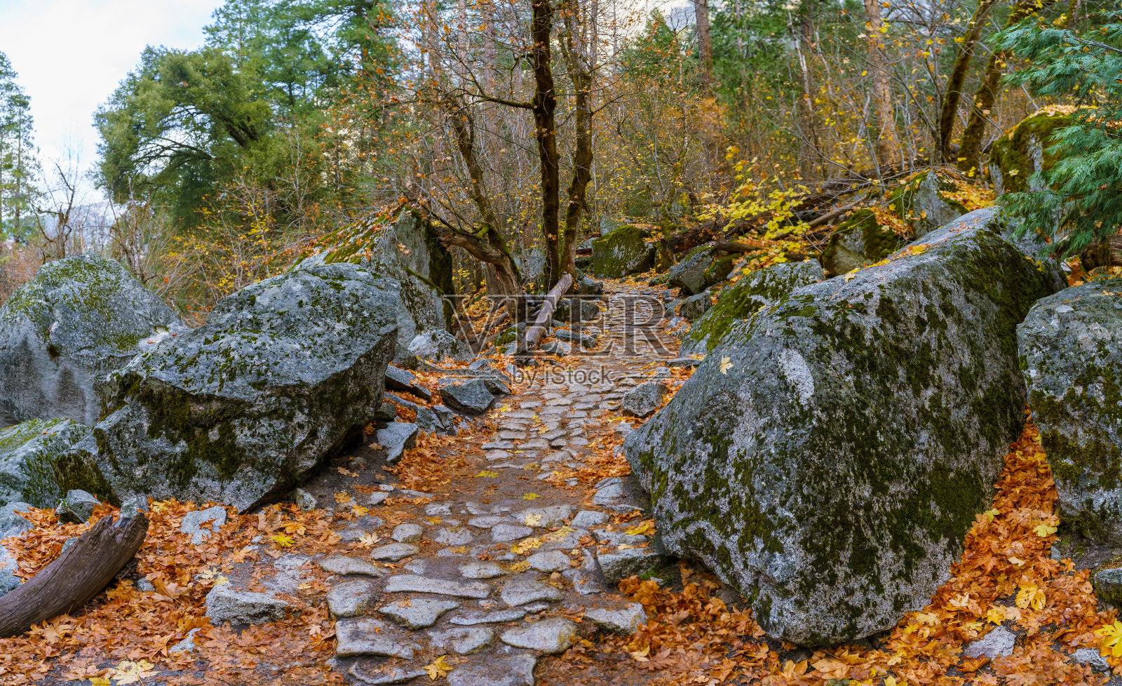 约塞米蒂国家公园全景照片摄影图片