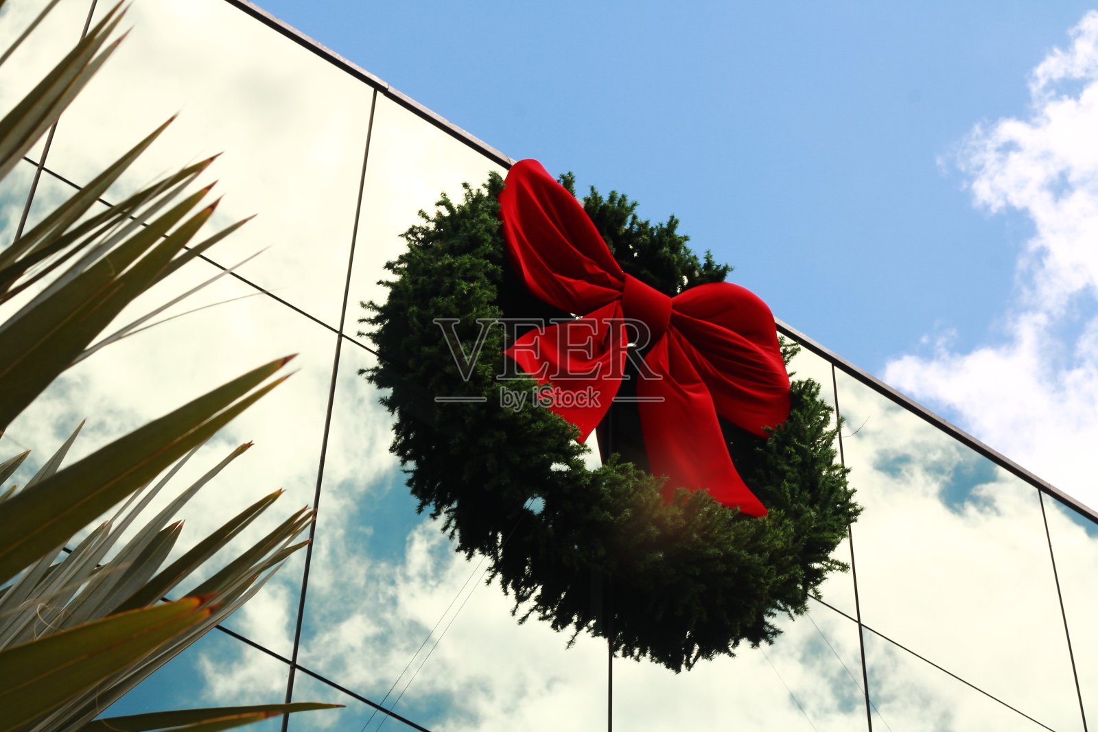 圣诞花环挂在玻璃结构照片摄影图片