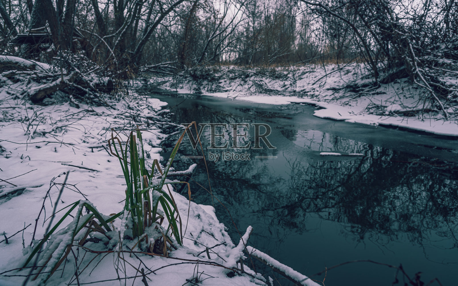 白雪皑皑的河岸和田野照片摄影图片