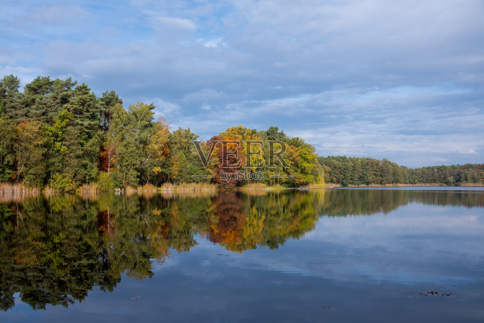 湖的自然景观，清晰度高，运动的波浪衬托着秋天的森林。云在水波上的倒影。德国。照片摄影图片