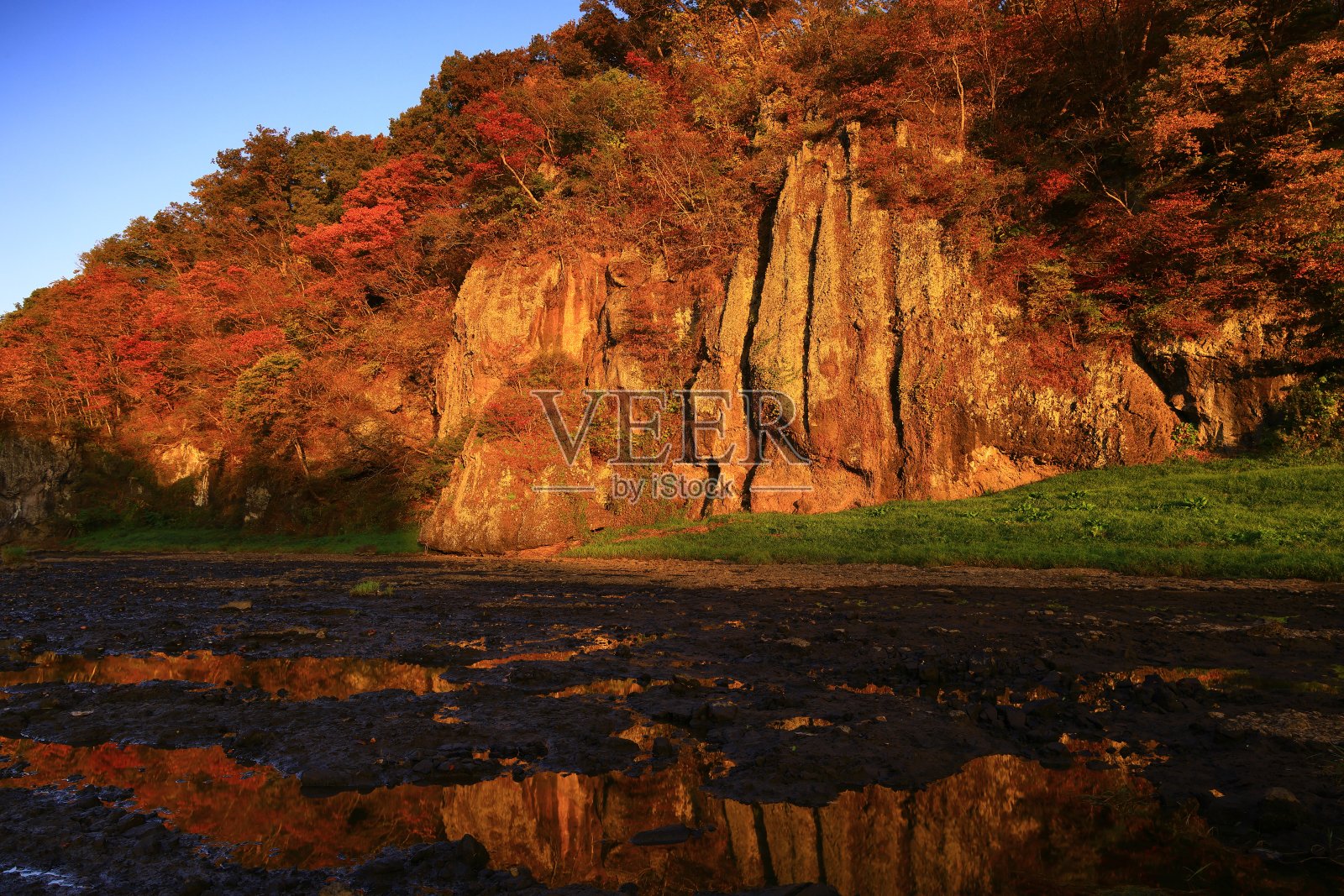 日出和秋叶照片摄影图片
