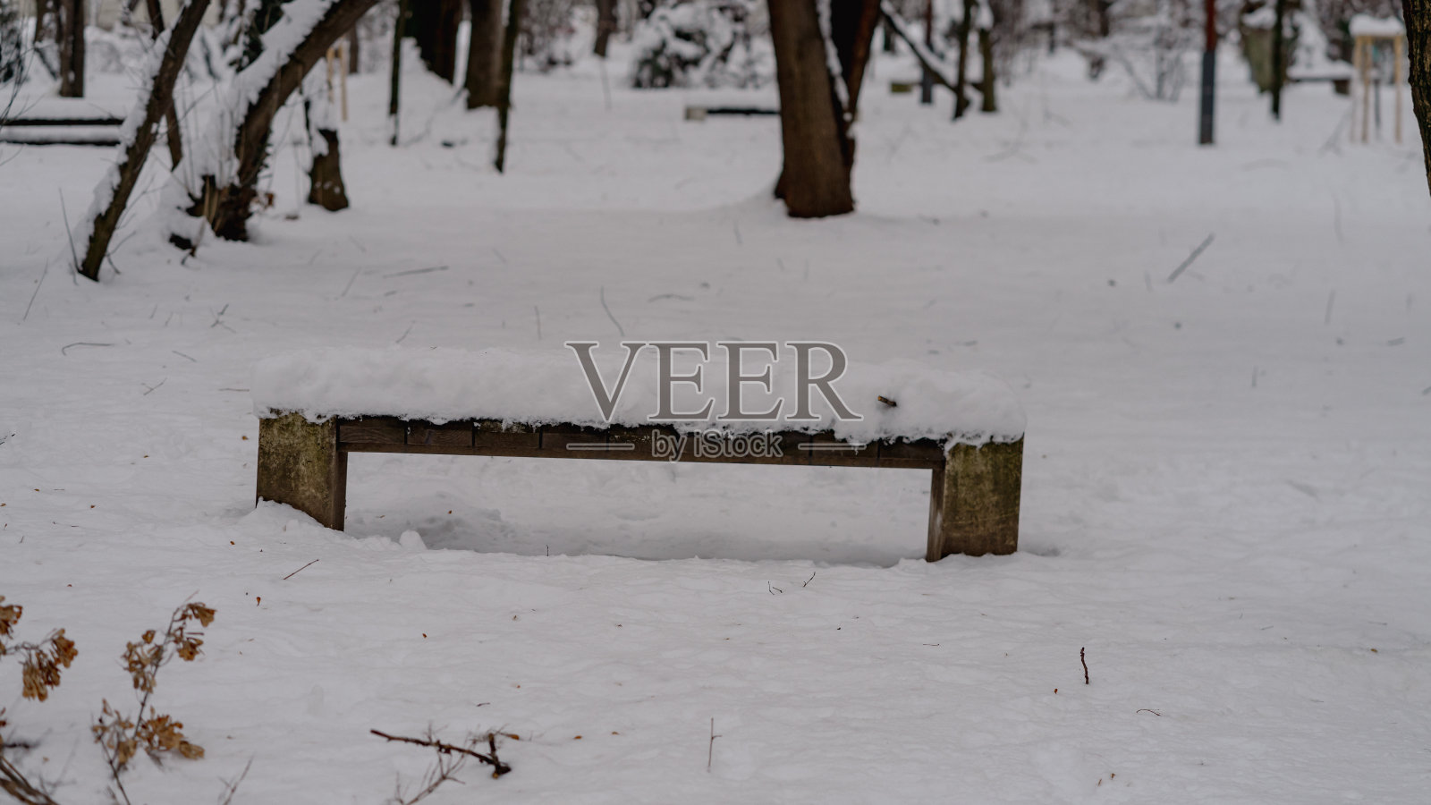 冬天的第一天，罗马尼亚布加勒斯特市下起了大雪照片摄影图片