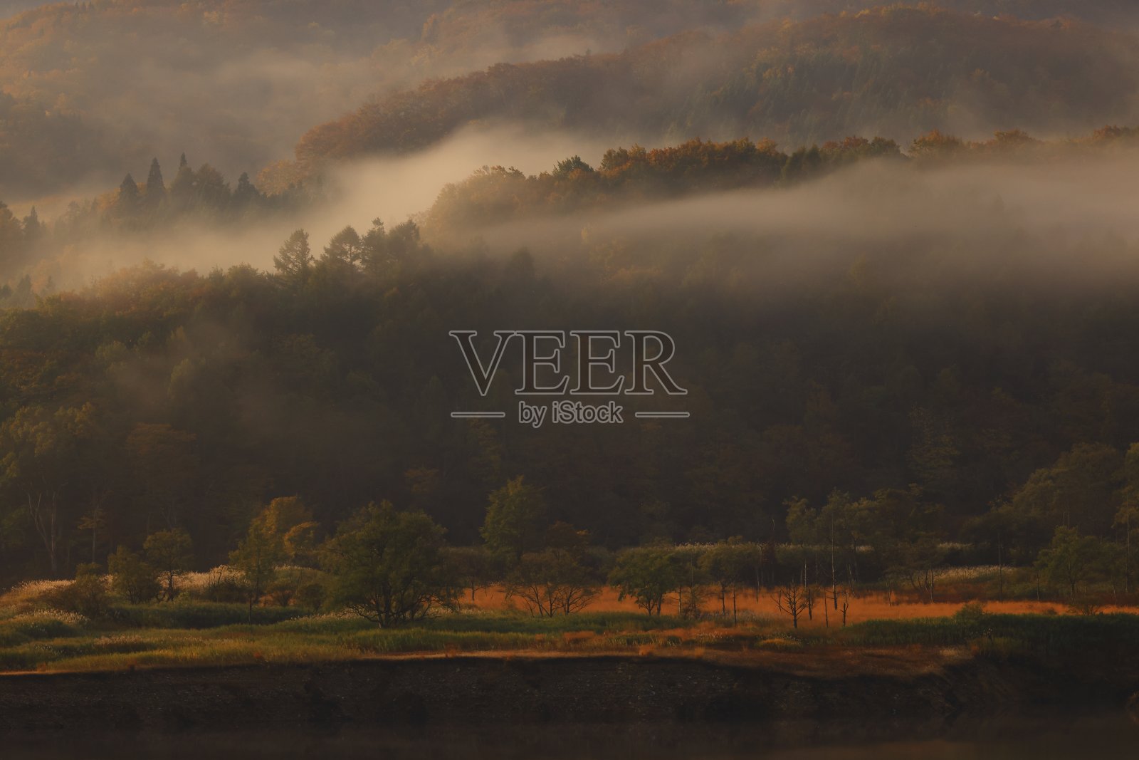 黎明风景照片摄影图片