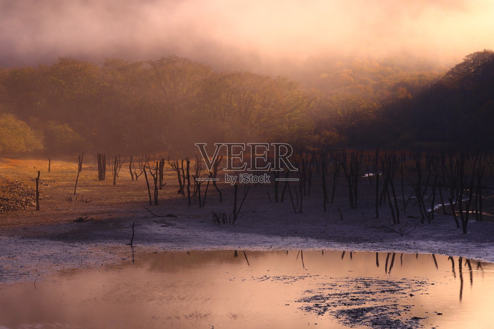 黎明风景照片摄影图片