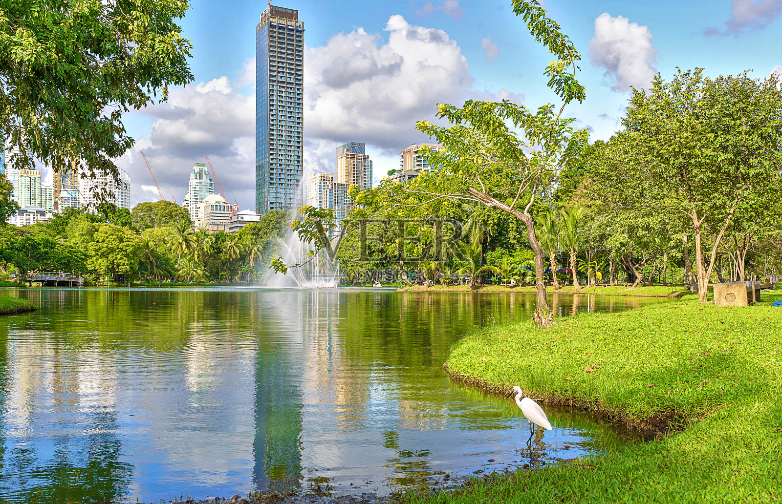 曼谷的隆比尼公园照片摄影图片