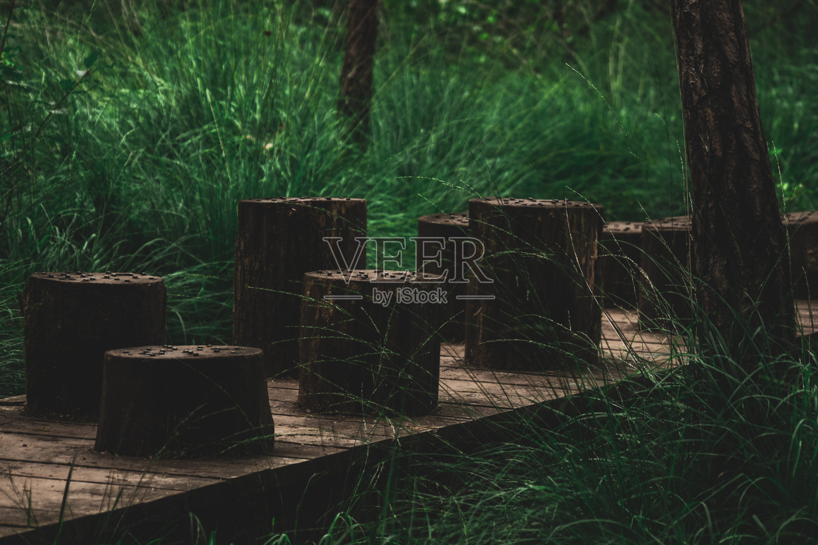 路径照片摄影图片