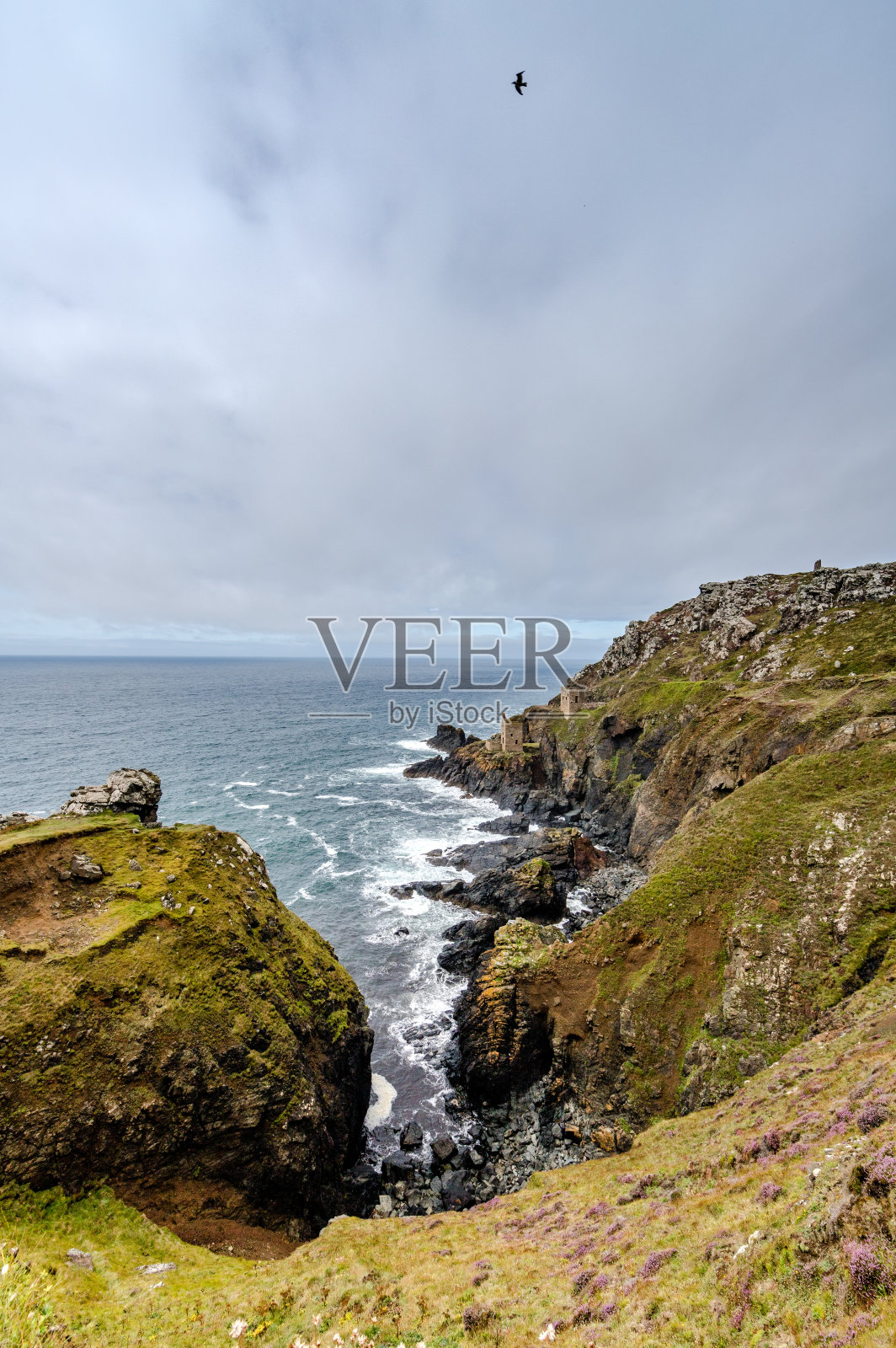康沃尔海岸线照片摄影图片