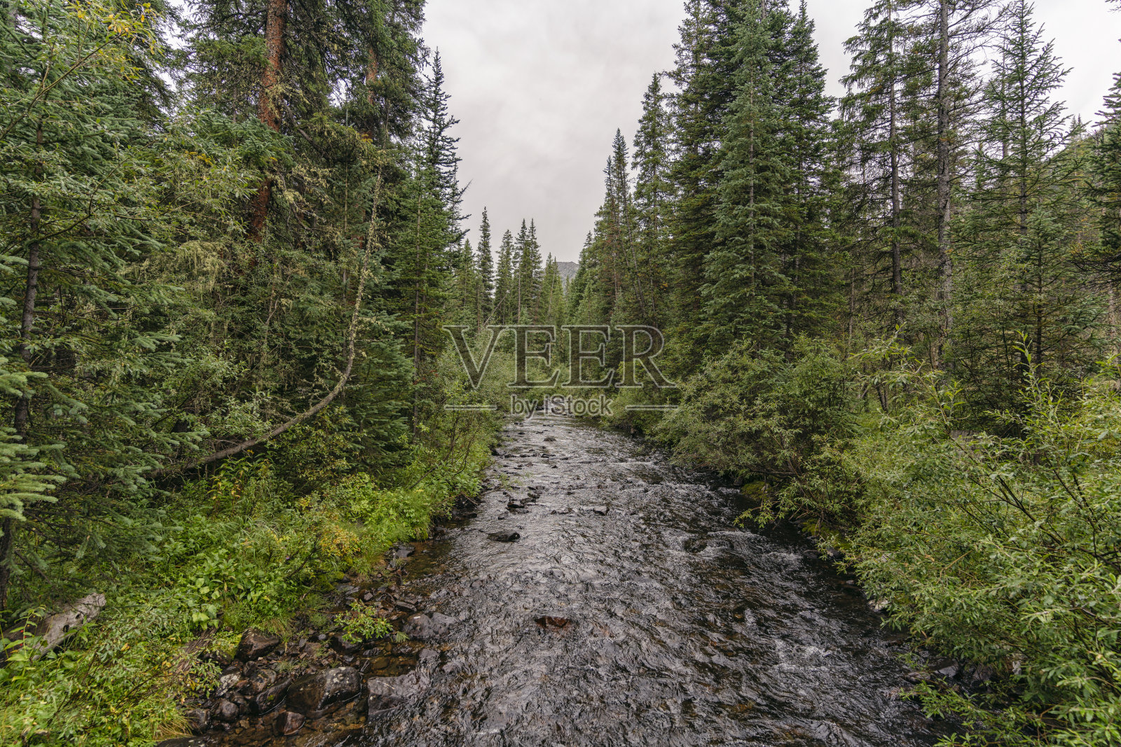 科罗拉多州圣十字荒野中的十字溪照片摄影图片