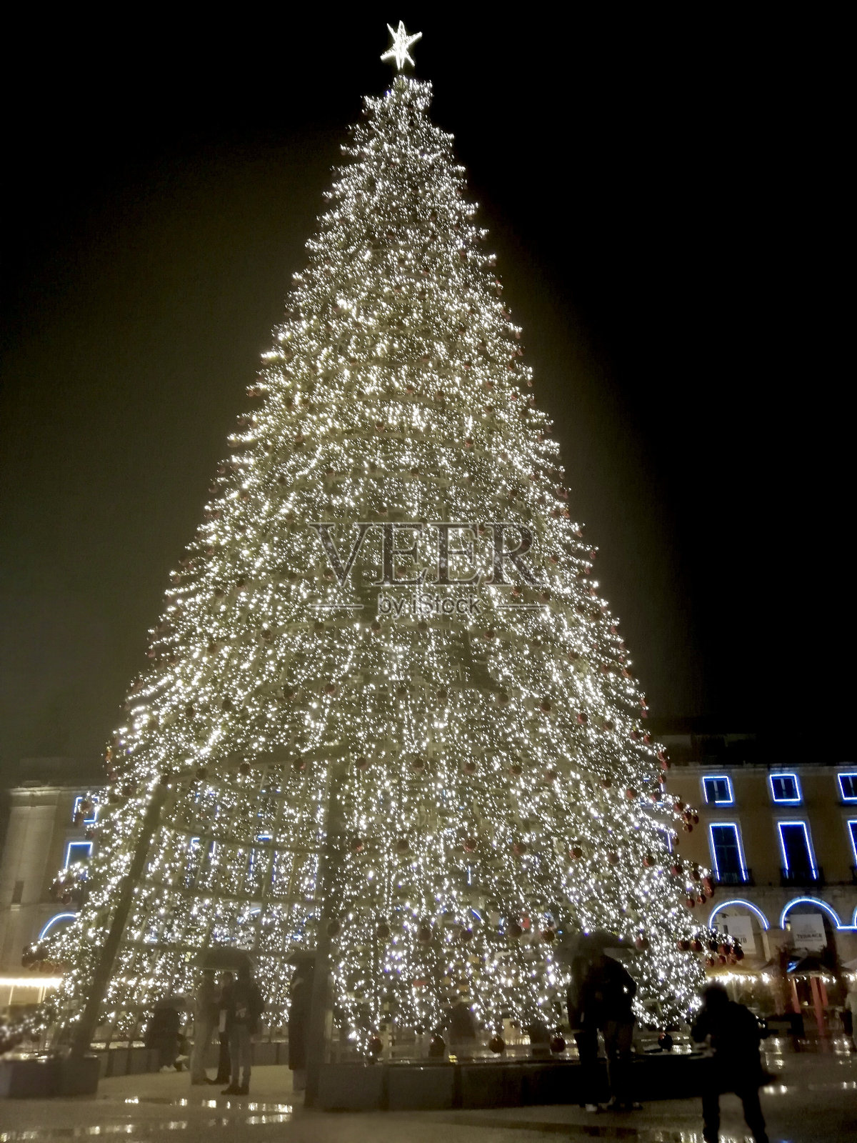 里斯本圣诞树照片摄影图片