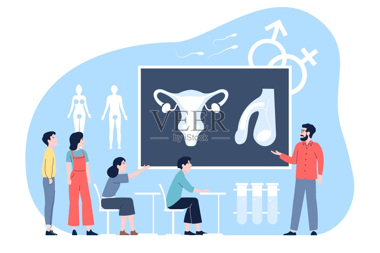 在学校进行性教育。青少年关于男性和女性生殖系统的课程。性健康和避孕，最近的病媒场景插画图片素材