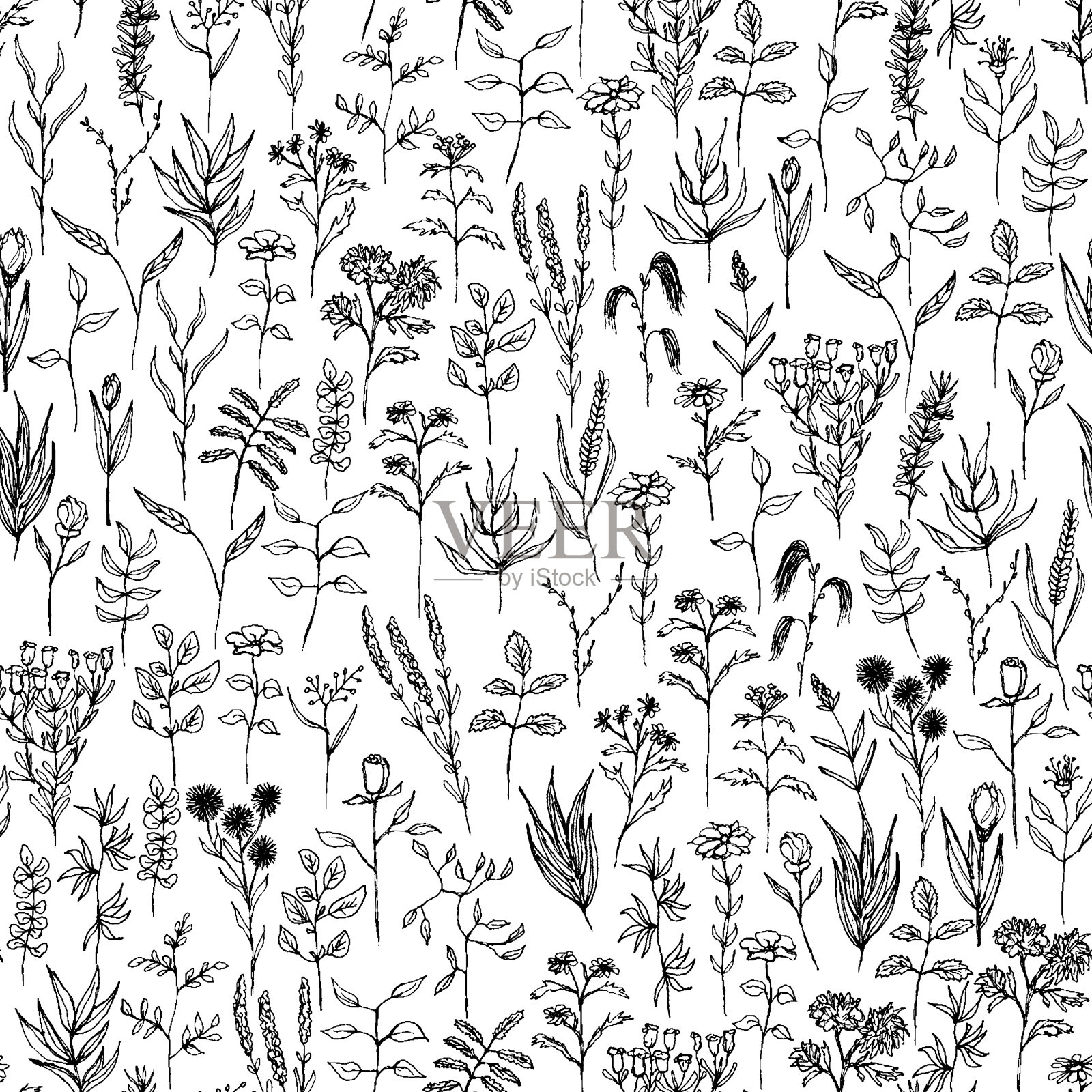 无缝矢量花卉图案。白色背景上不同的树枝。有很多野生植物、鲜花和草本植物。插画图片素材