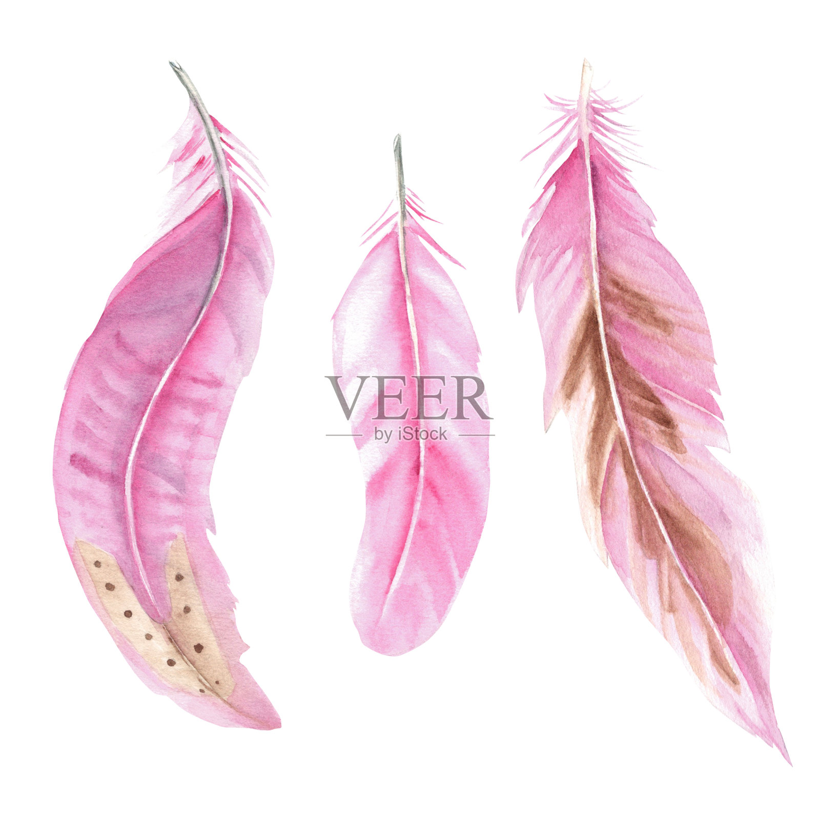 粉红色的羽毛孤立在白色的背景，水彩手绘插图。用于装饰，卡片和纺织品印刷。插画图片素材