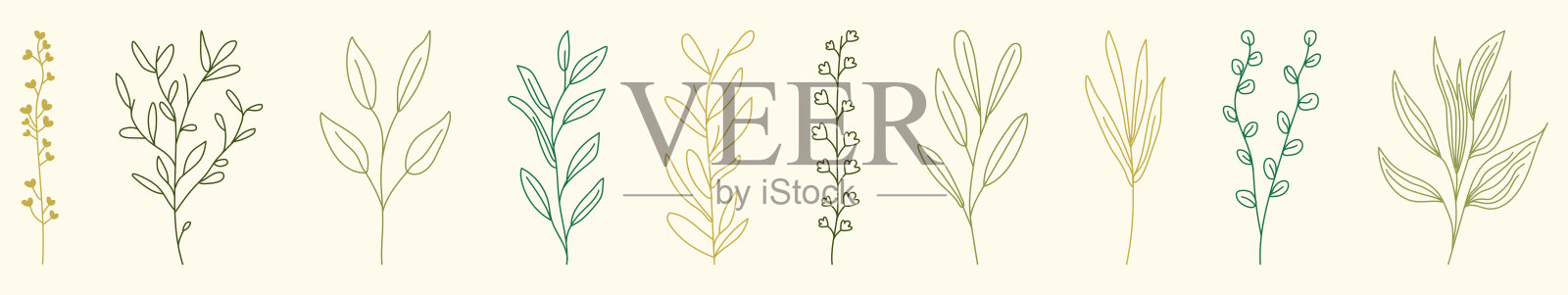 一套植物野生草本植物和叶子插画图片素材