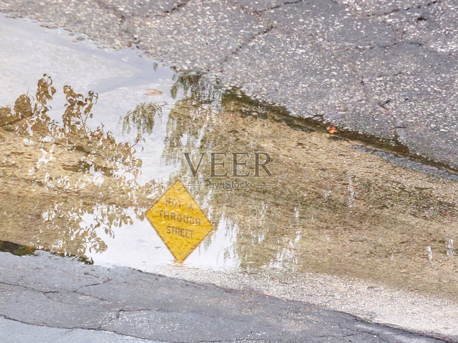 街道标志和水坑反射照片摄影图片