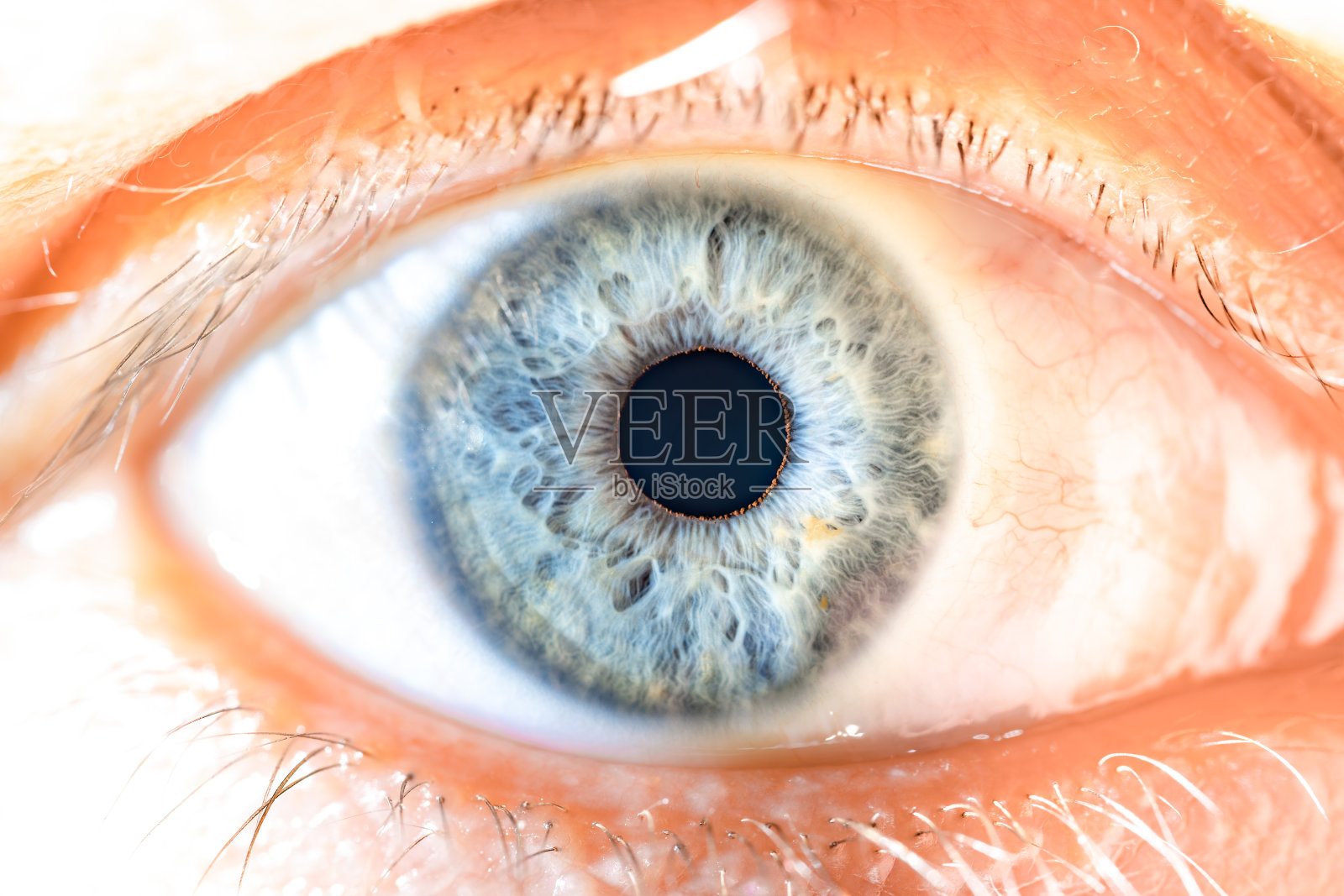 男性蓝色眼睛，睫毛长。结构性剖析。人体虹膜微距细节。照片摄影图片